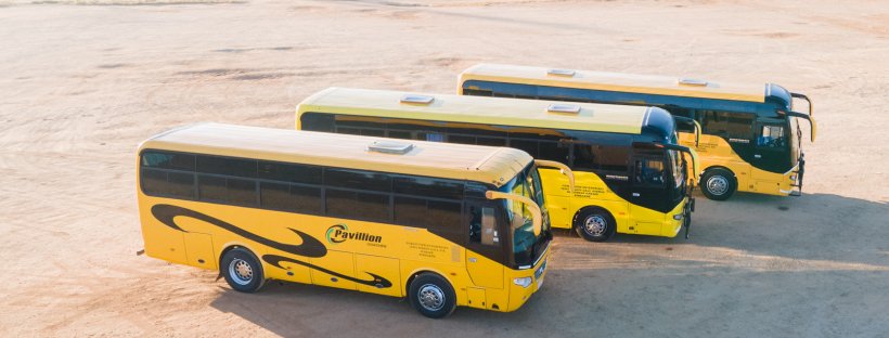 Three yellow Pavillion coaches parked side by side